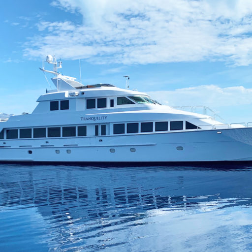 tranquility yacht price
