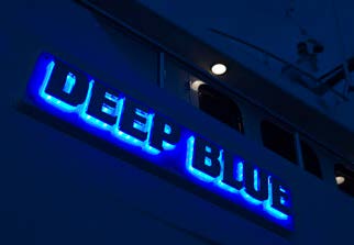 DEEP BLUE II yacht